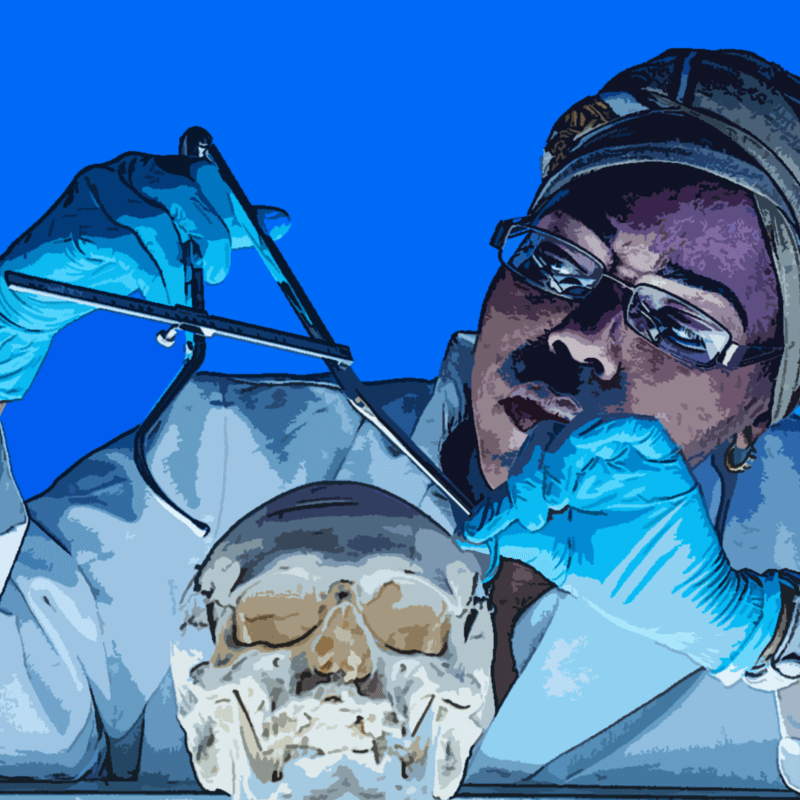 A Howard student studying a skull.